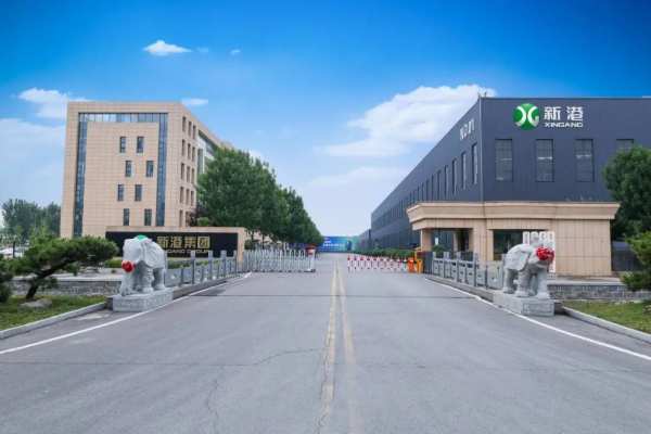 板材品牌迎来C端营销新纪元，解锁新港仿生精板把店开进万达的底气！