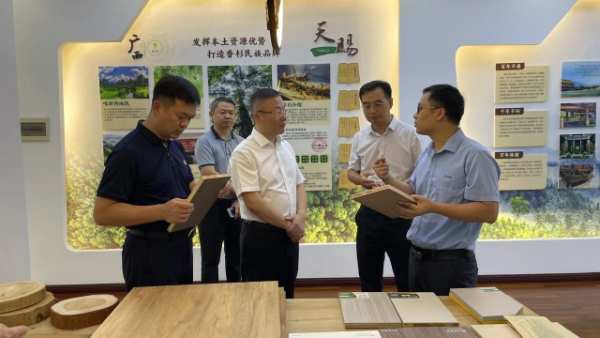 柳州市委常委、副市长张国良到壮象集团调研