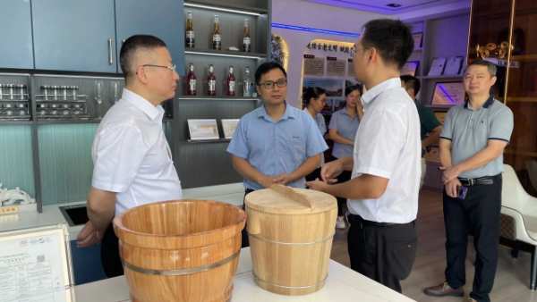 柳州市委常委、副市长张国良到壮象集团调研