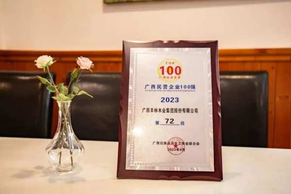 喜报丨连续6年！丰林集团入选2023广西民营企业100强