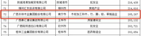 喜报丨连续6年！丰林集团入选2023广西民营企业100强