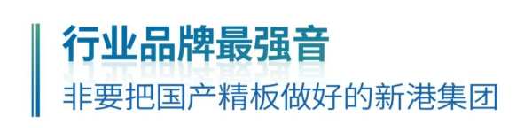 新港集团携手PICC，为千万家庭保驾护航