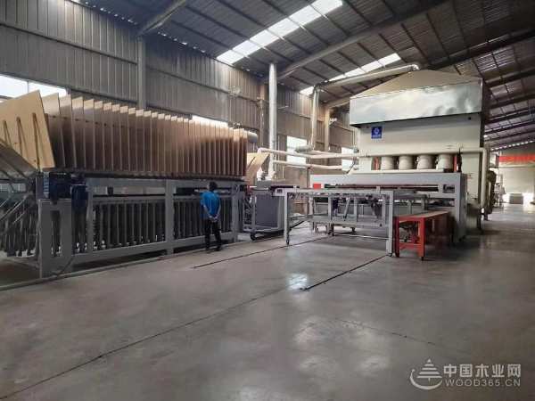 板材十大品牌之选 世林正弘板材全面发力品质保证
