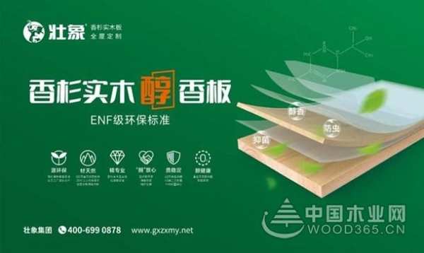 祝贺：壮象董事长叶新忠被西南林业大学聘请为产业导师