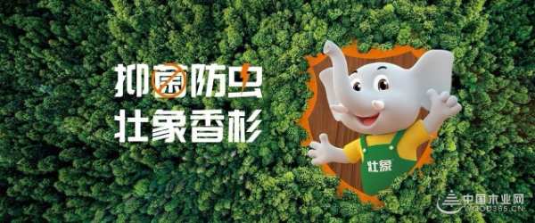 喜讯！壮象木业董事长叶新忠荣获广西柳州市先进个人荣誉！