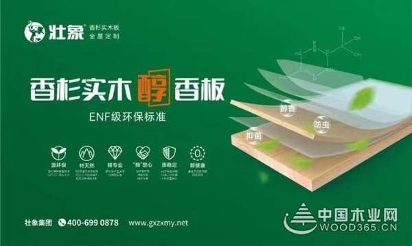 喜讯！壮象木业董事长叶新忠荣获广西柳州市先进个人荣誉！