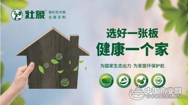 喜讯！壮象木业董事长叶新忠荣获广西柳州市先进个人荣誉！