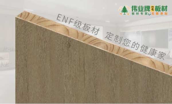 情系农民工 华商汇服务站在伟业牌ENF板材（河南配货中心）挂牌