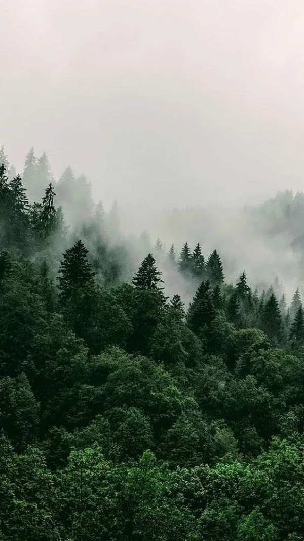 理想生活丨多样化饰面，打造恰到好处的高级感