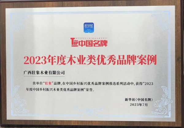 热烈祝贺|壮象被新华社评选为“中国乡村振兴优秀品牌案例”