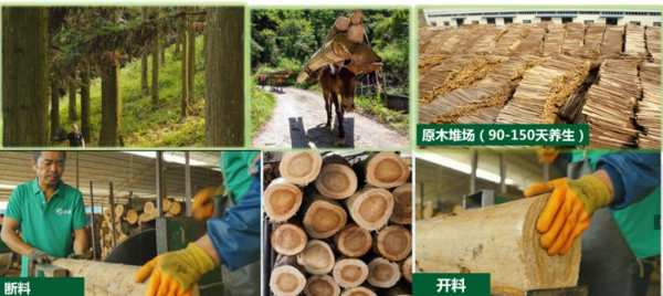 热烈祝贺|壮象被新华社评选为“中国乡村振兴优秀品牌案例”