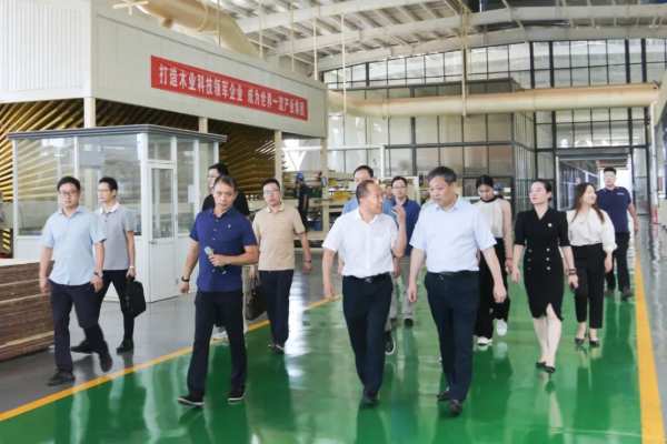 携手并进、共谋发展丨德华兔宝宝董事长丁鸿敏一行莅临新港集团参观指导