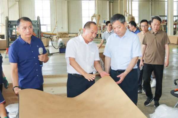 携手并进、共谋发展丨德华兔宝宝董事长丁鸿敏一行莅临新港集团参观指导
