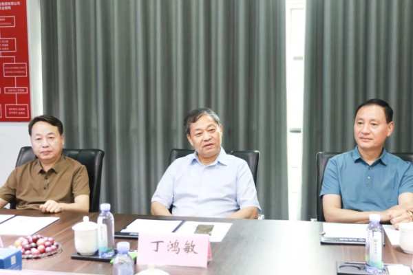 携手并进、共谋发展丨德华兔宝宝董事长丁鸿敏一行莅临新港集团参观指导