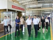 携手并进、共谋发展丨德华兔宝宝董事长丁鸿敏一行莅临新港集团参观指导