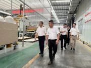 俏家板业 | 德华集团董事长丁鸿敏莅临俏家爱格参观指导