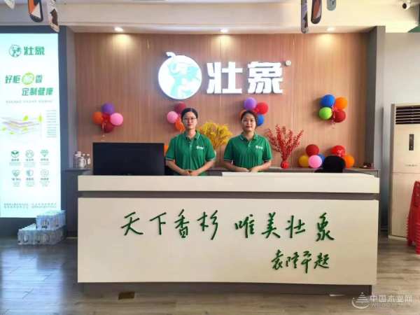 全新家居体验  壮象南宁快环专卖店正式开业