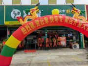 全新家居体验  壮象南宁快环专卖店正式开业