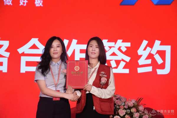 强强联合！团团圆圆战略合作阵容再添实力伙伴！