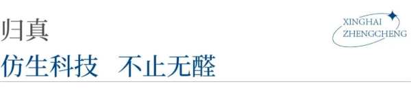 科技新港 丨志行万里，以创新之姿，奔赴星海征程