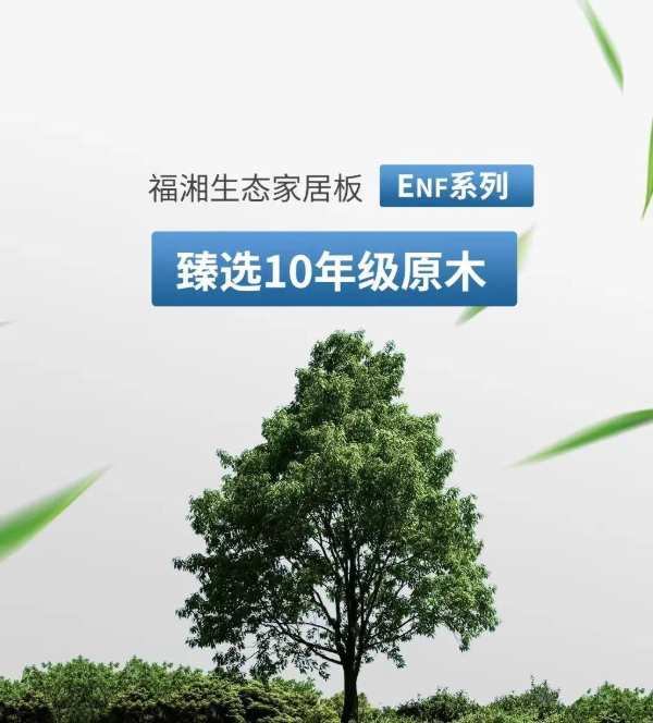 福湘板材 | 择十年树木，质造健康生活