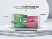 新品上市 | 大王椰叶脉系列天然高基板两大系列新品首 发