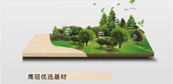 鹰冠净醛抗菌家具板——双重守护品质家居空间