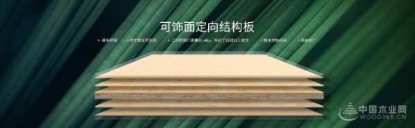 行业影响力板材十大品牌有哪些？