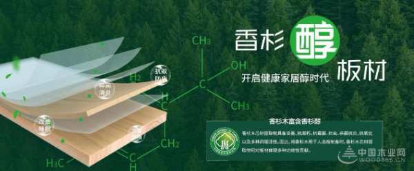 行业影响力板材十大品牌有哪些？