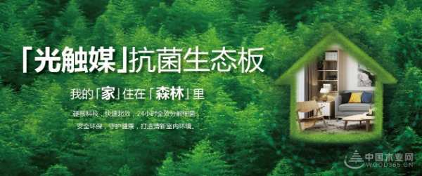 行业影响力板材十大品牌有哪些？