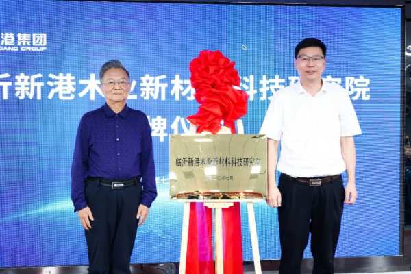 科技创新按下“快进键”！新港研究院隆重揭牌