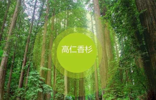 喜报！热烈庆祝高仁板材荣膺“消费者信赖十大品牌”！