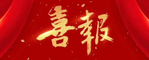 喜报丨雪宝摘获2023年度金匠榜“匠心板材十大品牌”