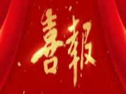 喜报丨雪宝摘获2023年度金匠榜“匠心板材十大品牌”
