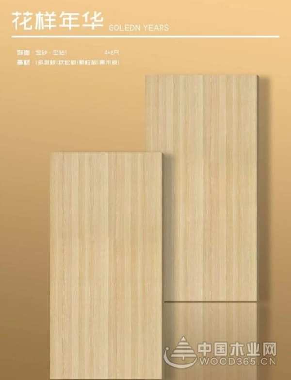 品牌全面升级 沃森川荣膺“家具板十大品牌”荣誉