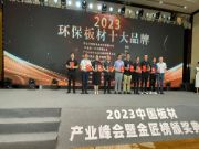荣誉 | 实力彰显价值,优饰荣获“2023年金匠榜--环保板材十大品牌”称号