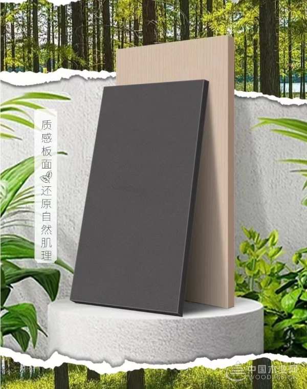 实至名归！鹰冠木业获得金匠榜“行业影响力板材十大品牌”荣誉