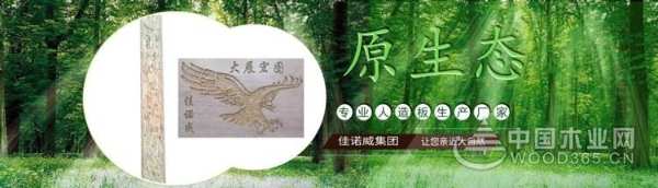实力见证 佳诺威荣获金匠榜“环保板材十大品牌”
