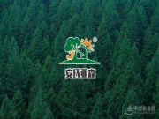 实至名归 安氏亚森斩获金匠榜“家具板十大品牌”