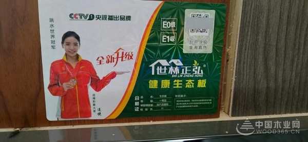 积极进取 世林正弘摘得“消费者信赖板材十大品牌”荣誉
