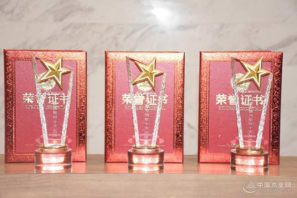 时间沥金 荣光加身 鲁丽木业揽获金匠榜三项大奖