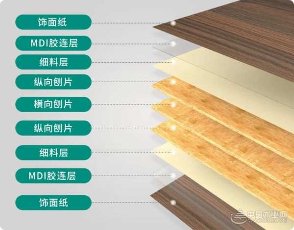 时间沥金 荣光加身 鲁丽木业揽获金匠榜三项大奖