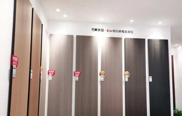 全城精英汇聚 万象天冠高端板材·定制体验店东岸旗舰店开业