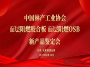 北新木业面层阻燃OSB和面层阻燃胶合板两项新产品分别被评定为“国际领先”和“国际先进”