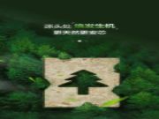 大王椰森芯健康板 | 从“芯”出发 让绿色住进家