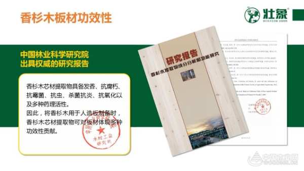发展里程碑 壮象集团斩获“2022年度广西科学技术进步二等奖”