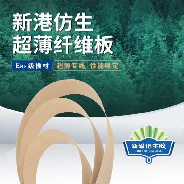 “十四五”国家重点研发计划“高性能木质复合材料先进制造与应用关键技术”课题推进会于新港集团顺利召开