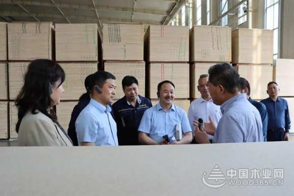 壮象董事长叶新忠前往山东板材企业调研考察