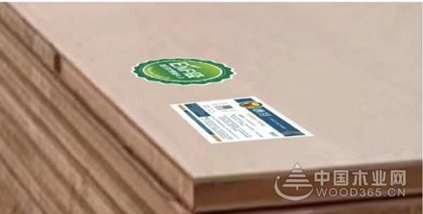 品牌新力量，品质新生活！鹰冠板材品牌战略焕新打造价值新引擎！