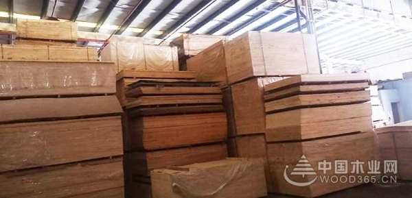 亿佳辉板材：夯实产品根基 打造多维竞争力